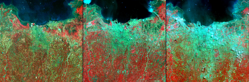 Illustration for article titled Megacities Are Growing So Fast We Need Satellites To Study Them